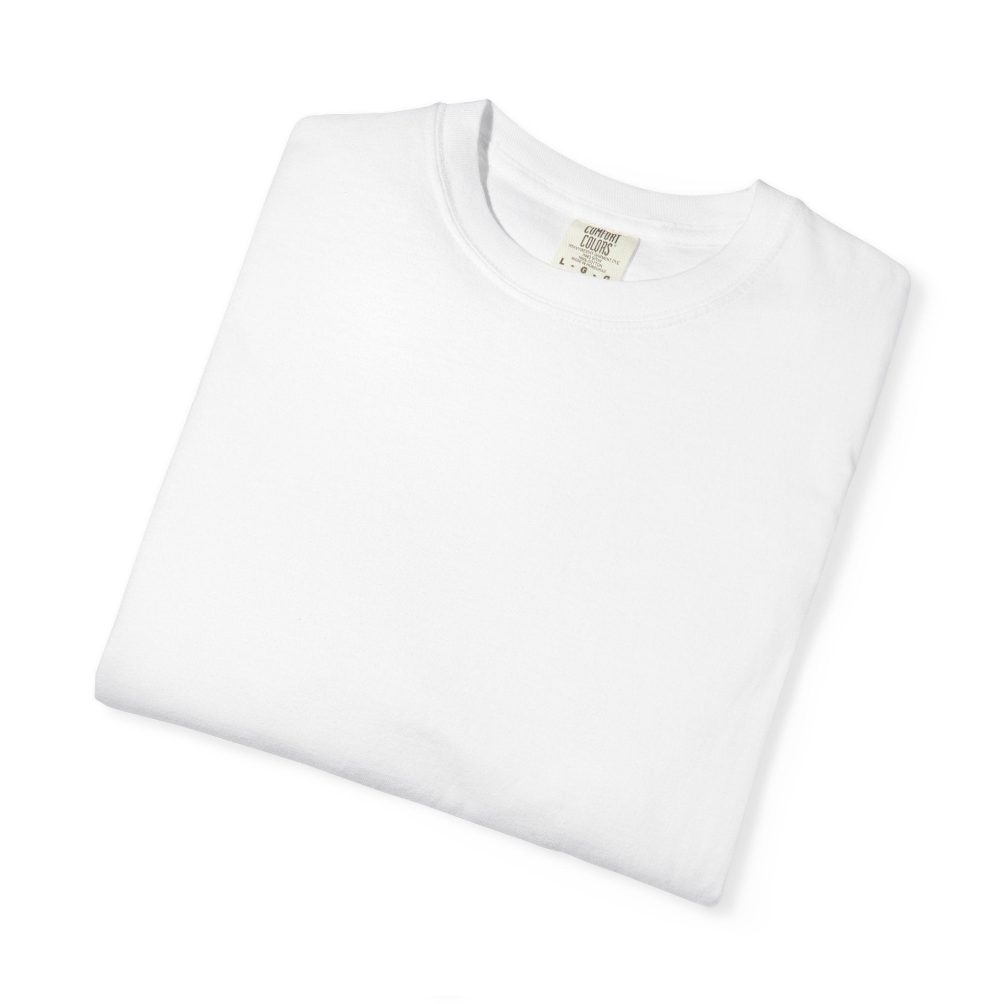 Pocket Monster Koi & Cloud T-Shirt